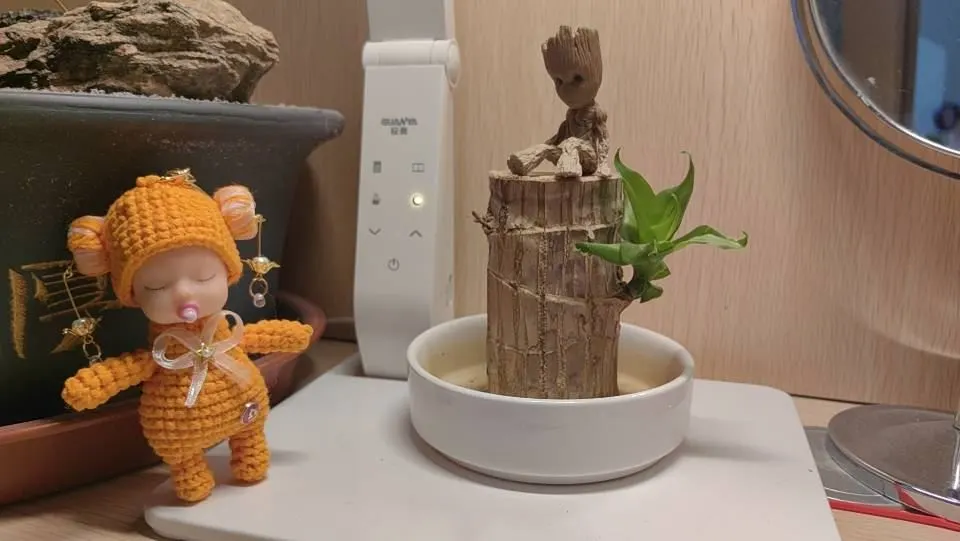 我的星座，我做主, a crochet project shared by 正好