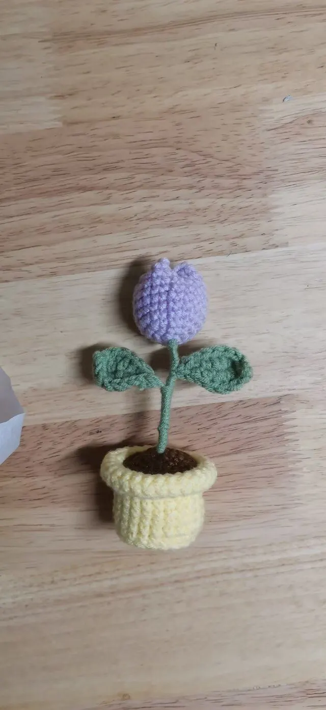 2022年教师节，娃给数学老师的礼物。, a crochet project shared by vv