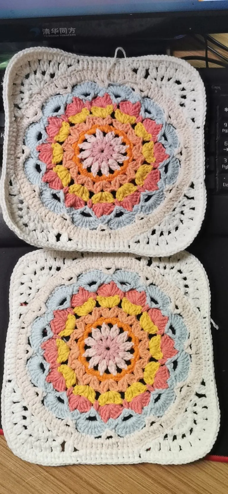 花片, a crochet project shared by 💗洁寶手作👭