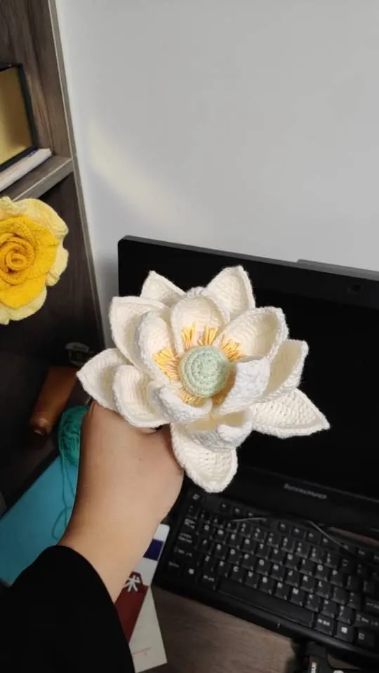 荷花, a crochet project shared by 陌上