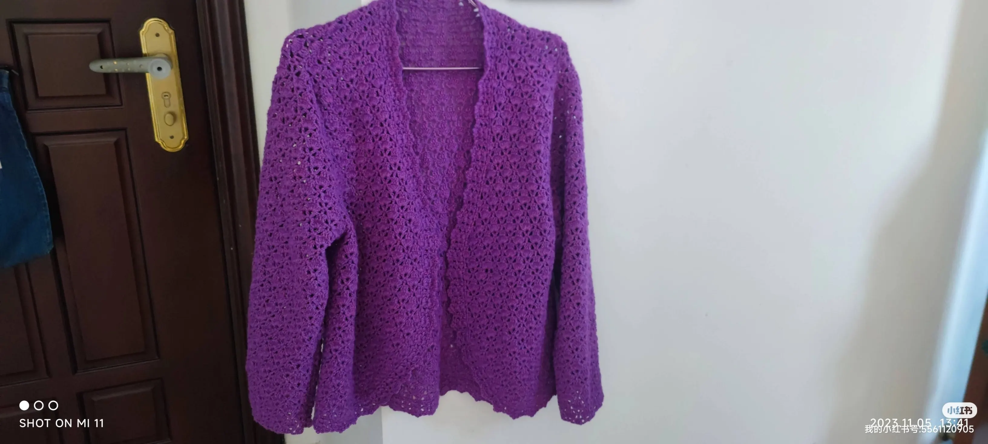 莉莉安开衫, a crochet project shared by 彩云