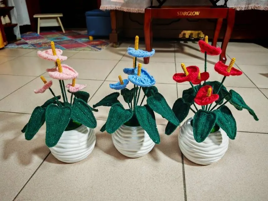红掌, a crochet project shared by 彭格列兔兔