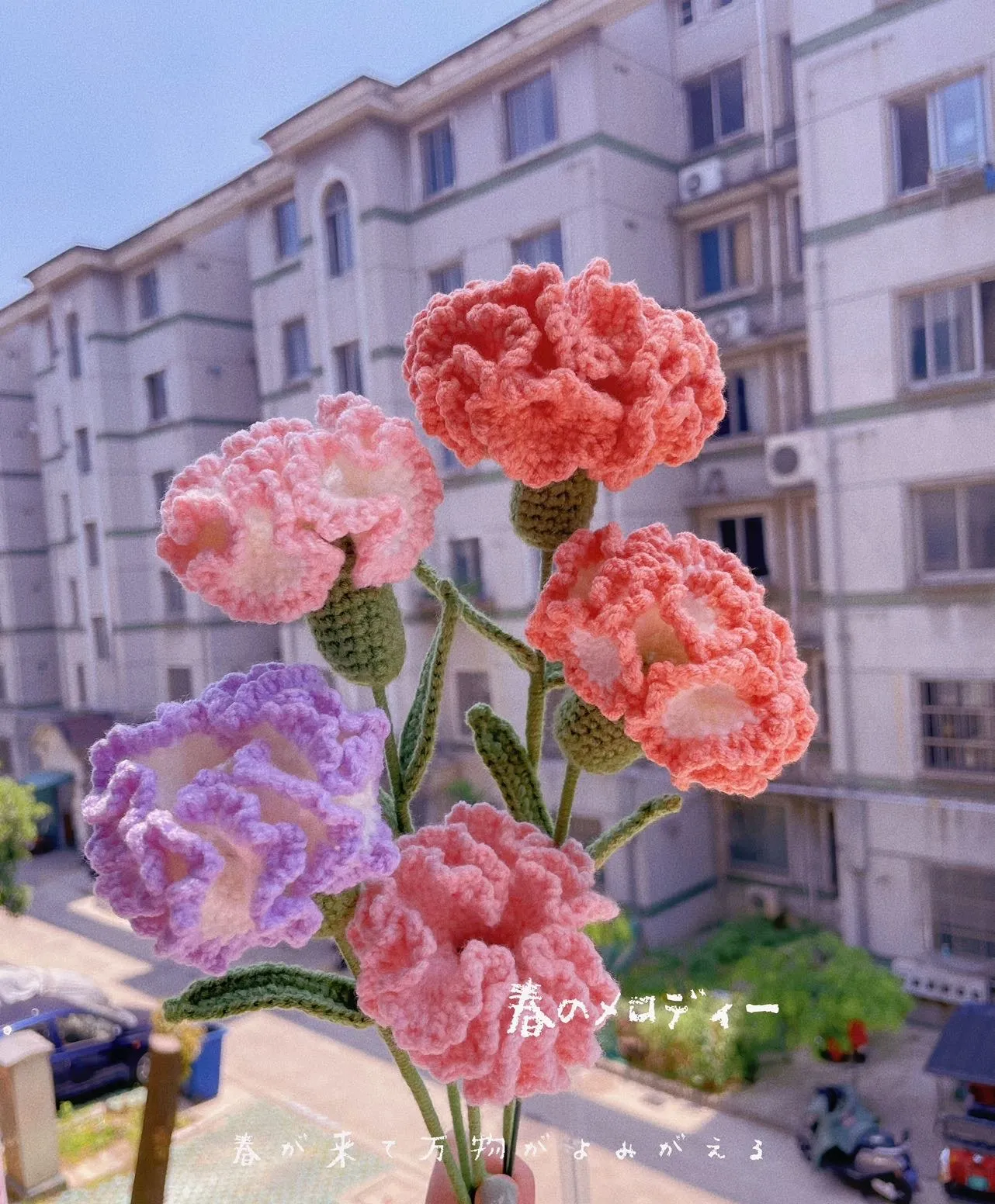 一些花花, photo 1
