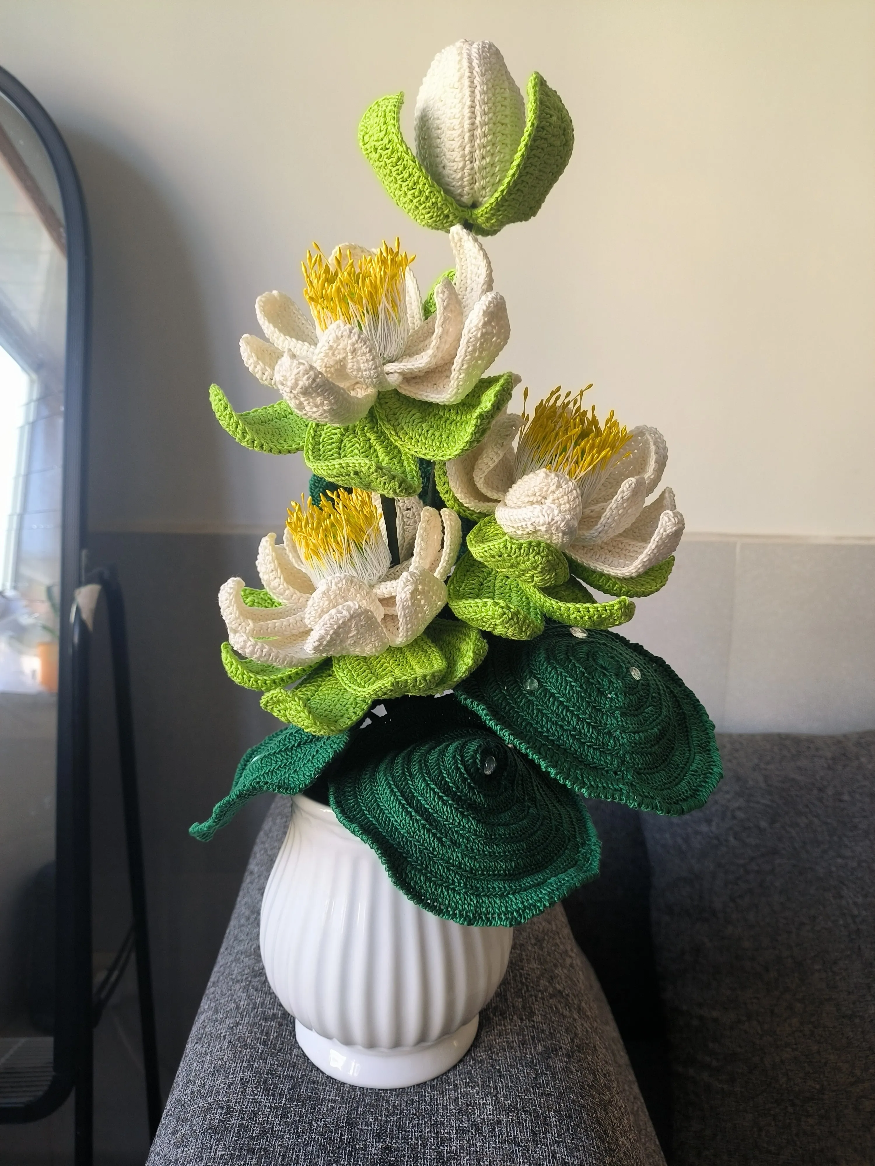 荷花盆景, photo 1