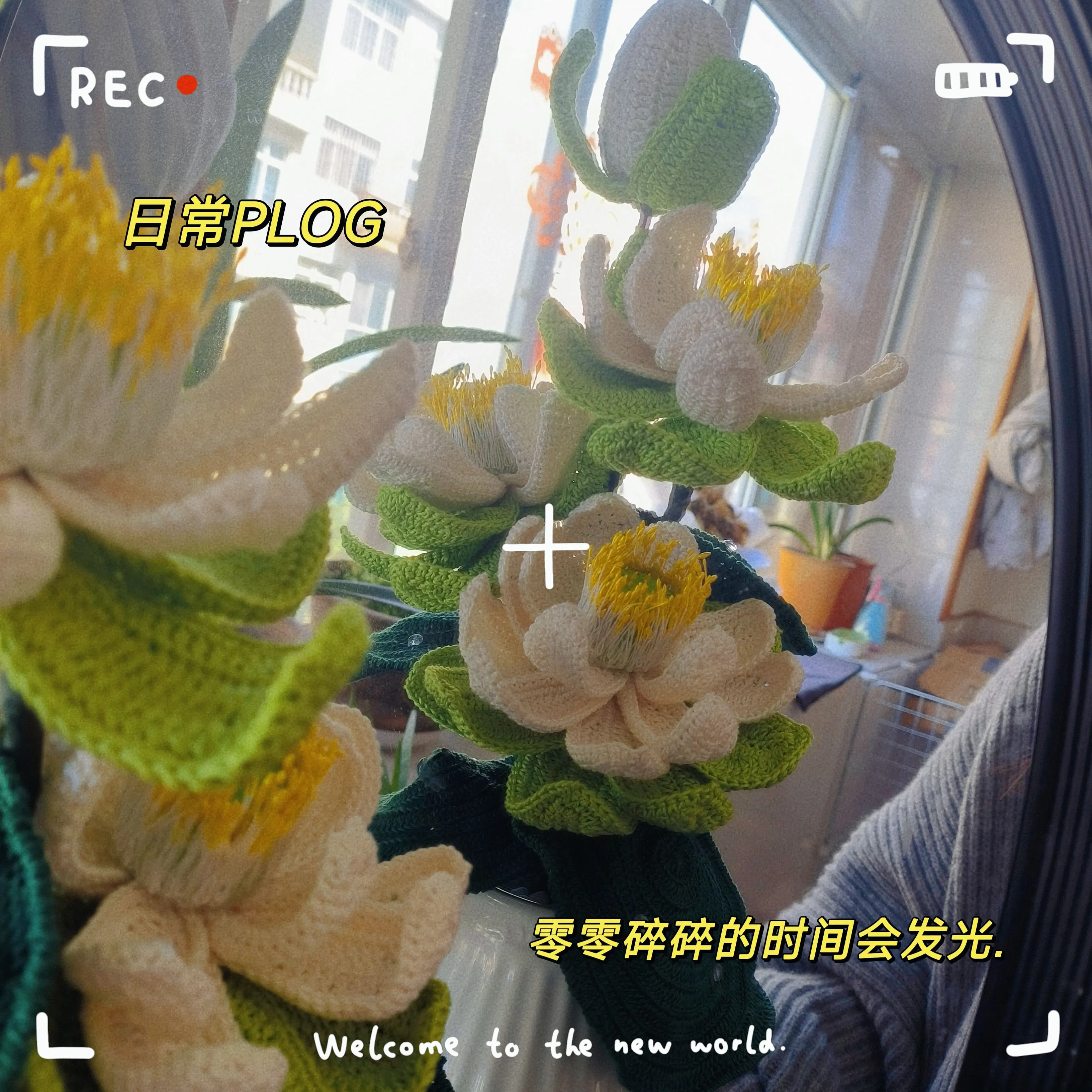 荷花盆景, a crochet project shared by 17385194317