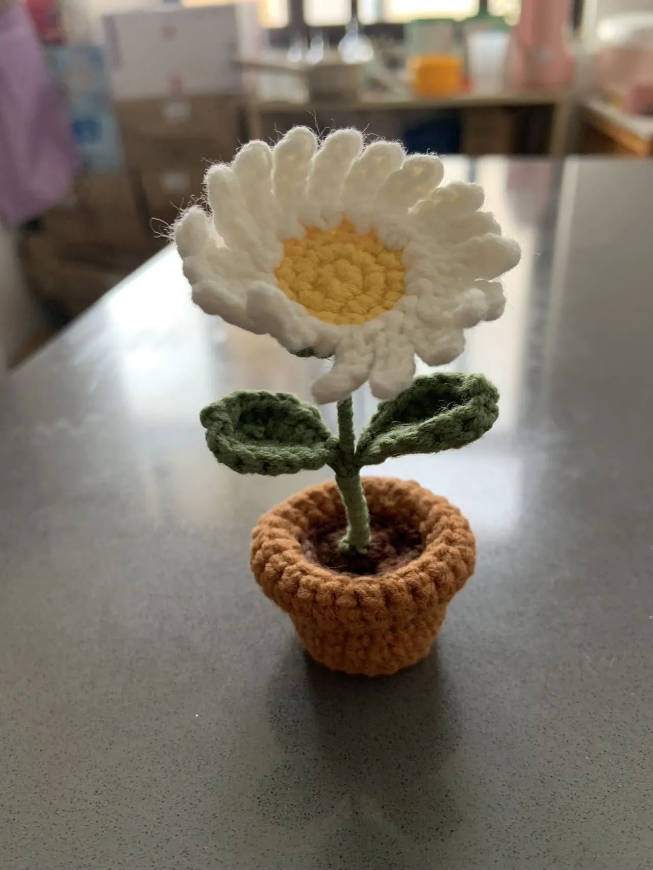 小雏菊盆栽, a crochet project shared by Cm