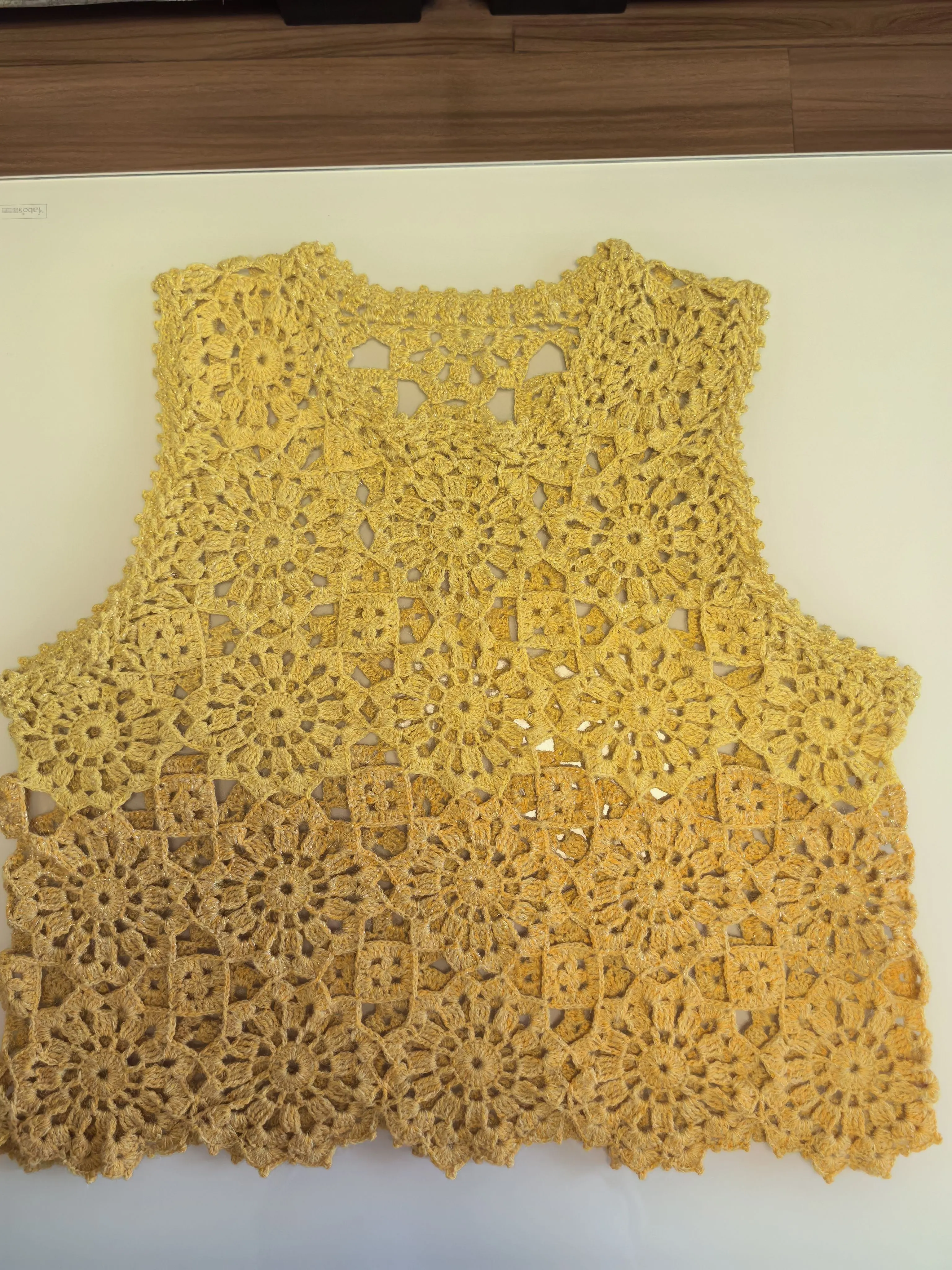 梦圆背心, a crochet project shared by 焦艳