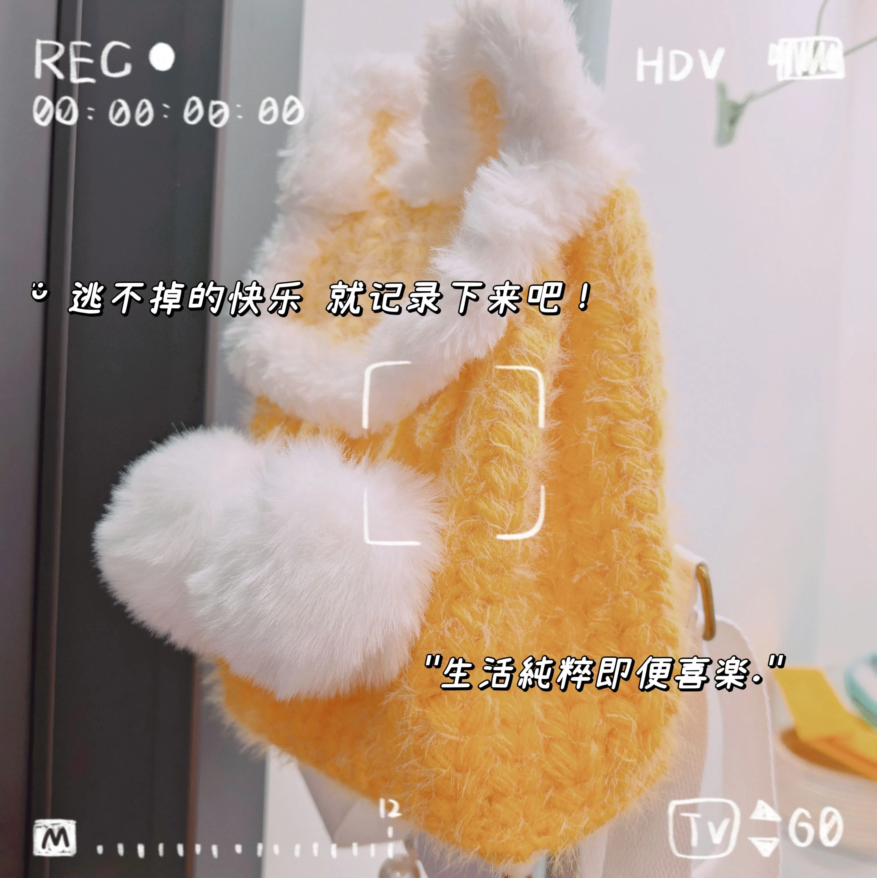 兔耳包包, photo 1