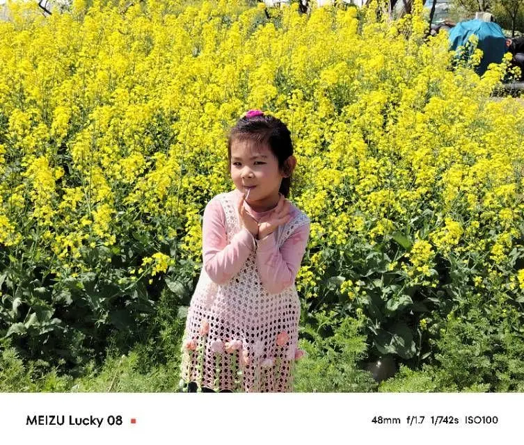 落花, a crochet project shared by 桃子妈妈