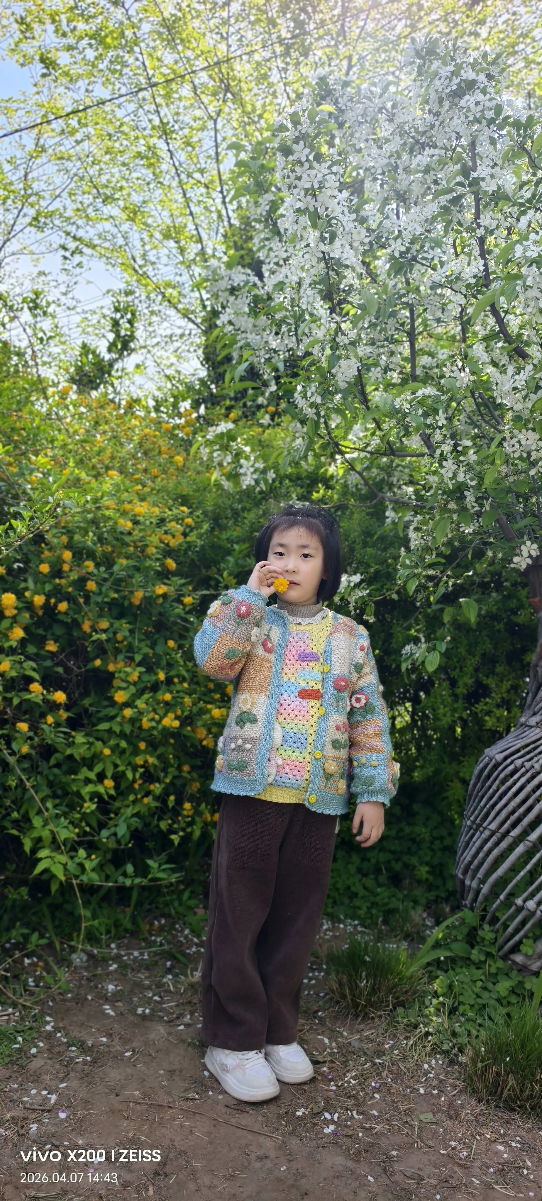 好看, photo 1