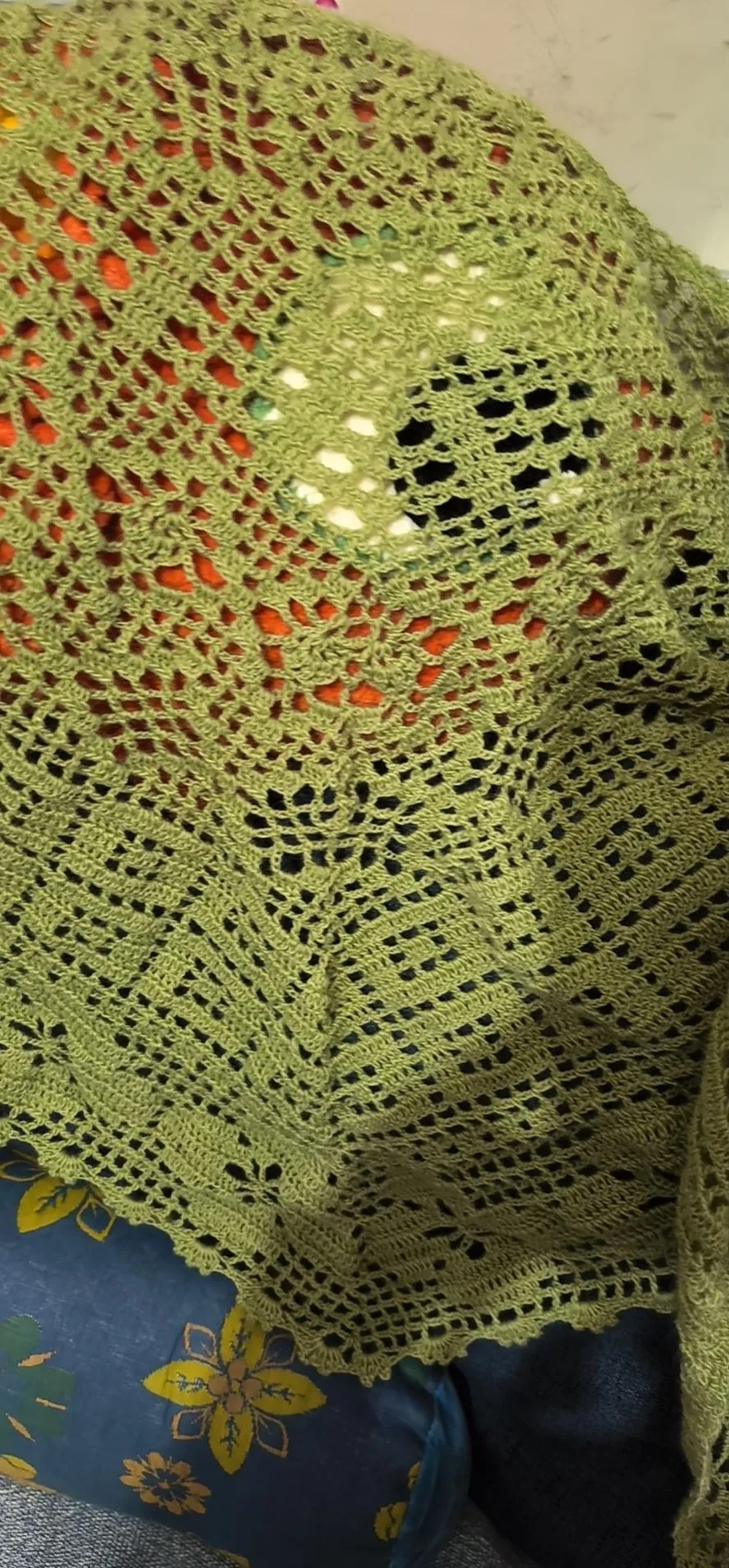 新梅披肩, photo 1
