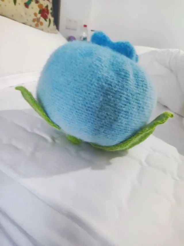 蓝(拦)不住想你、莓(没)你不行, a crochet project shared by 明明