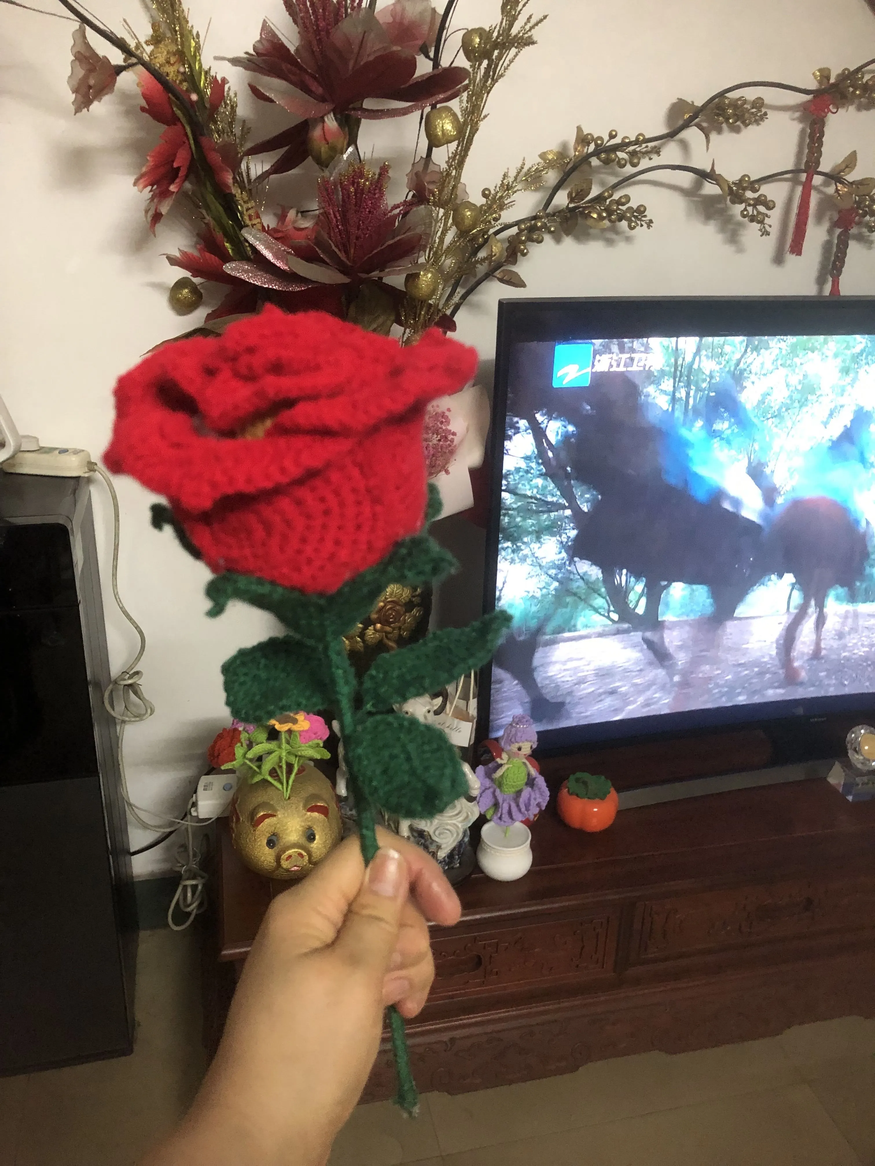 玫瑰花仙子, a crochet project shared by 小天使