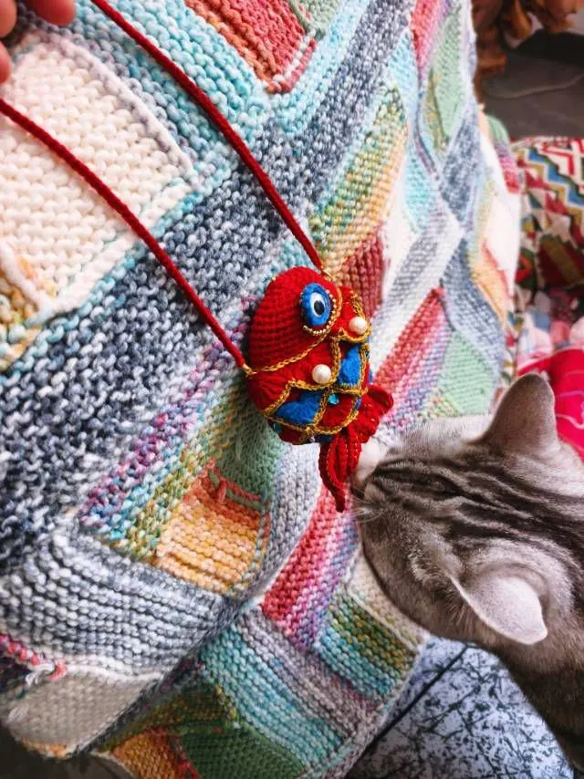 锦鲤耳机包, a crochet project shared by 喵织趣