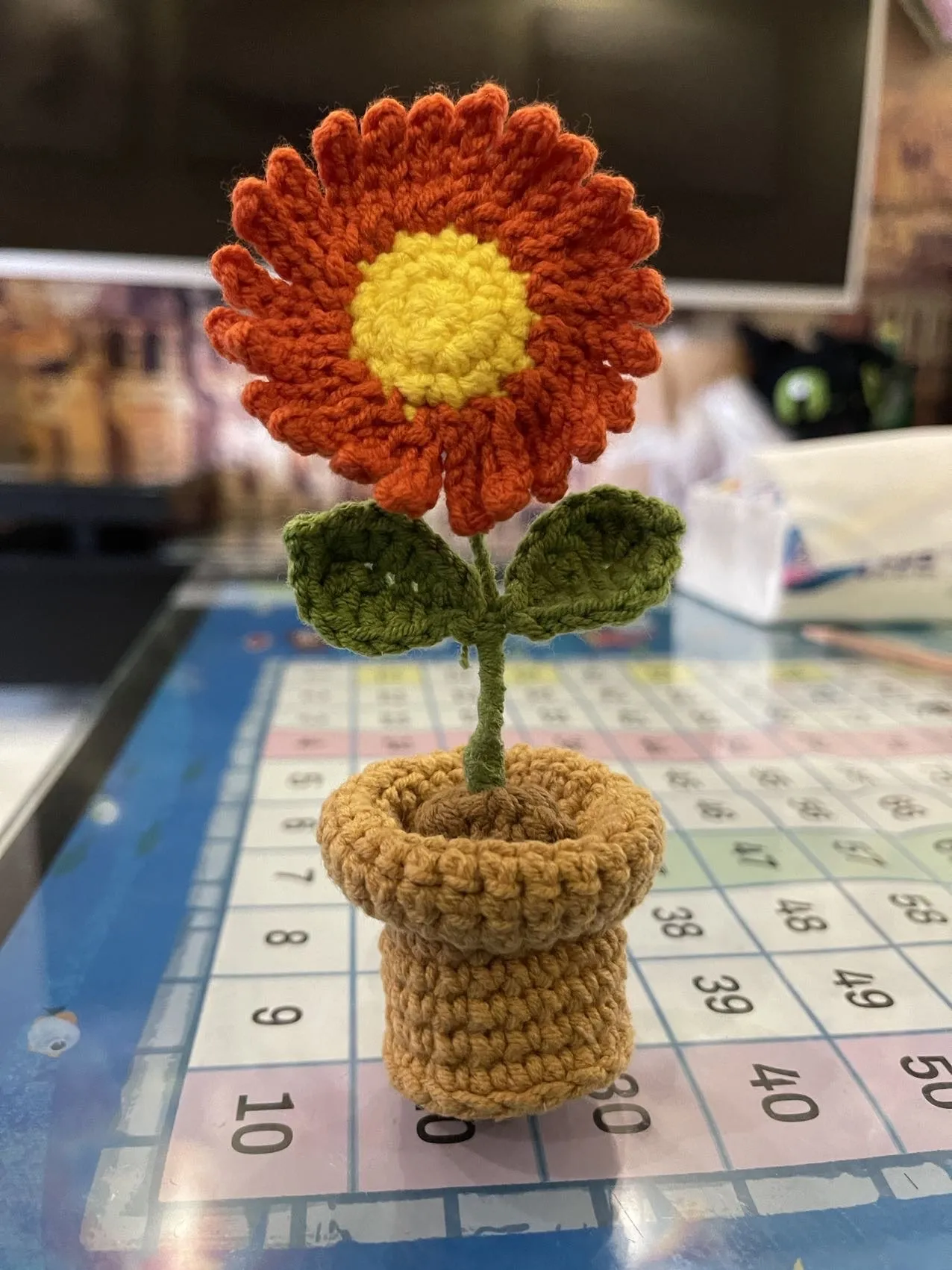 小雏菊