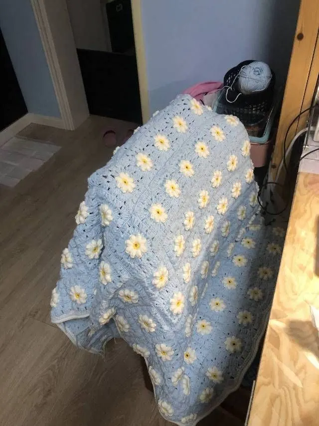 清新法兰西菊, a crochet project shared by 艳