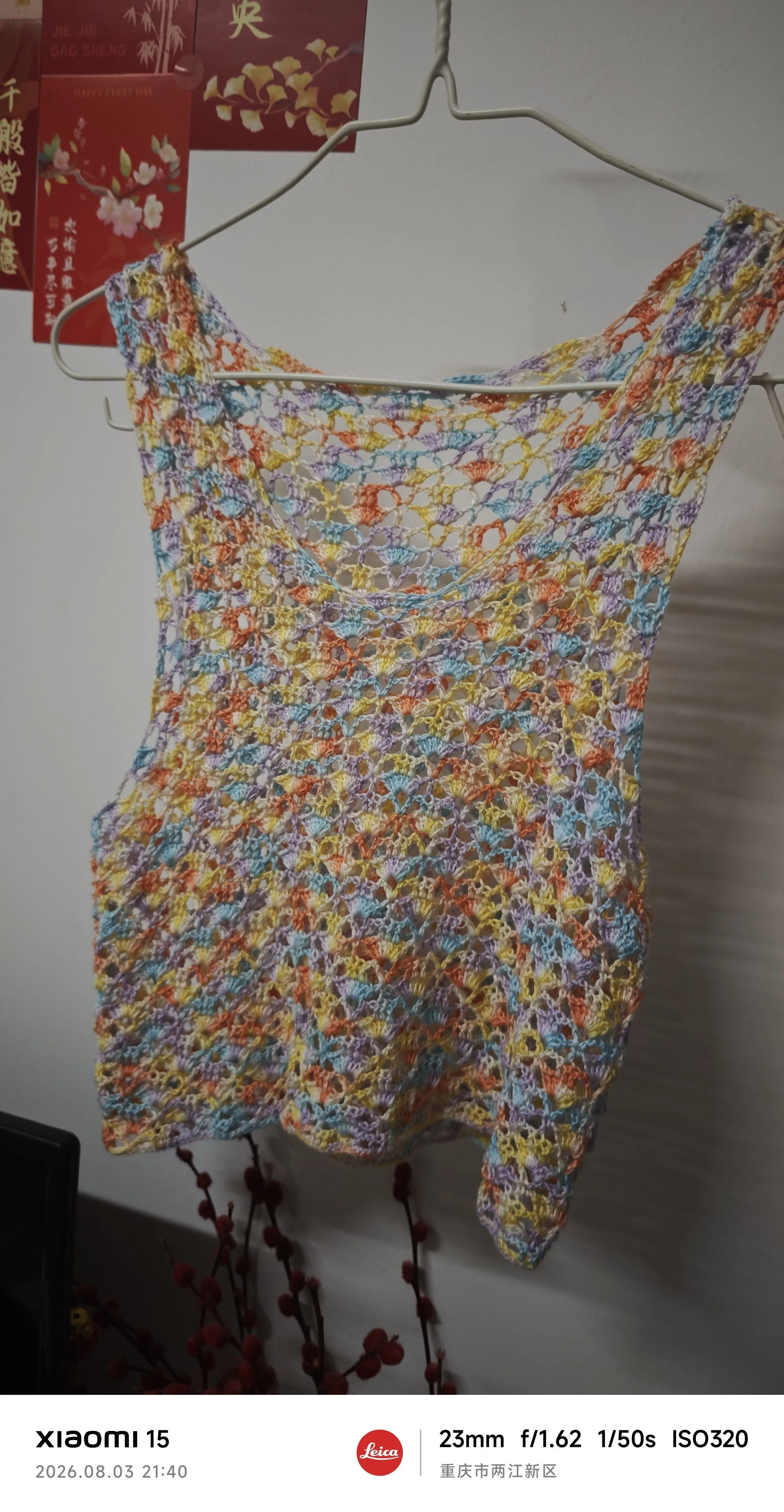 本来是马甲，成品有点小，变成了一个背心, a crochet project shared by 熹微