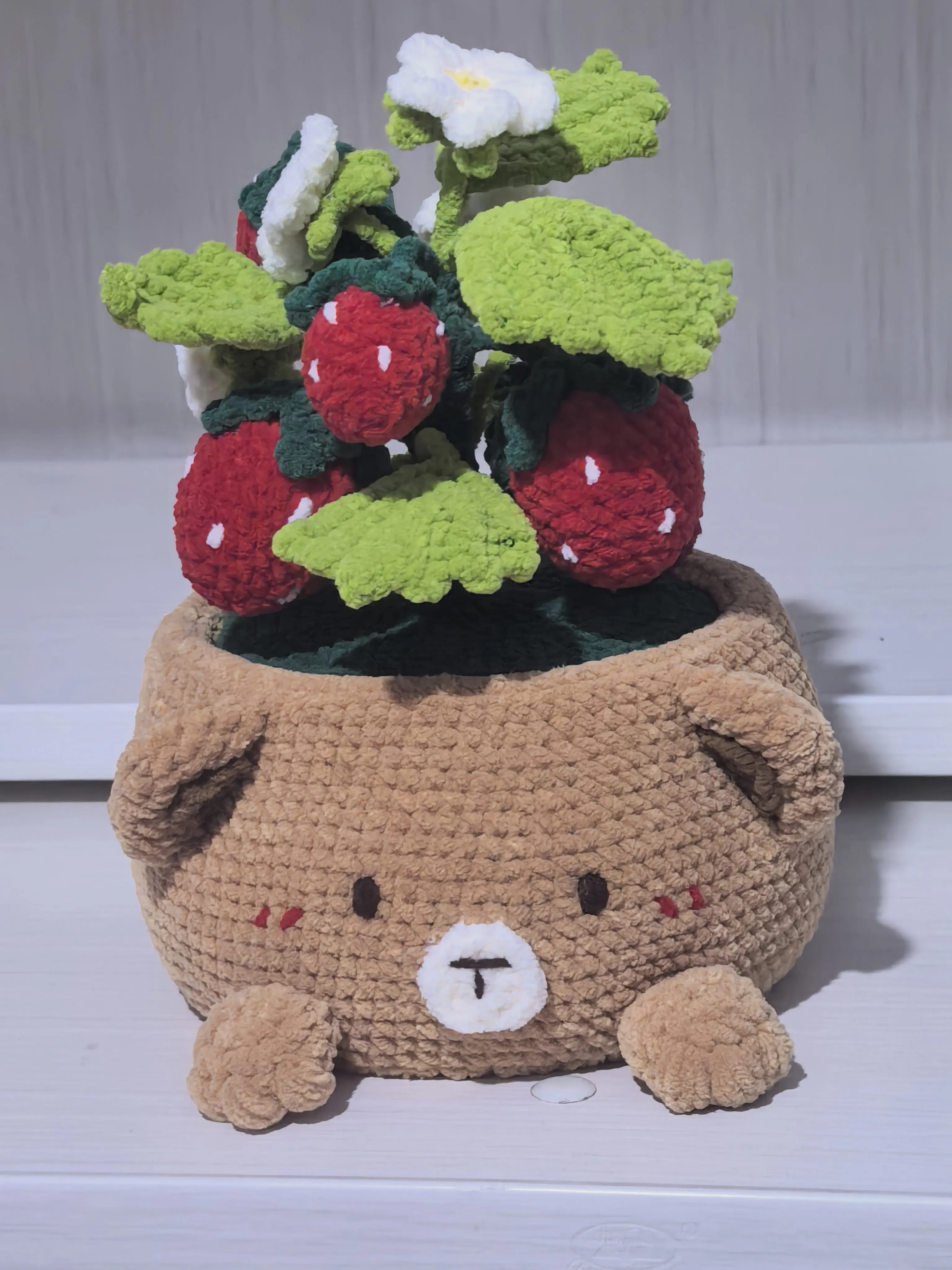 小熊盆栽>ᴗoಣ, a crochet project shared by 马