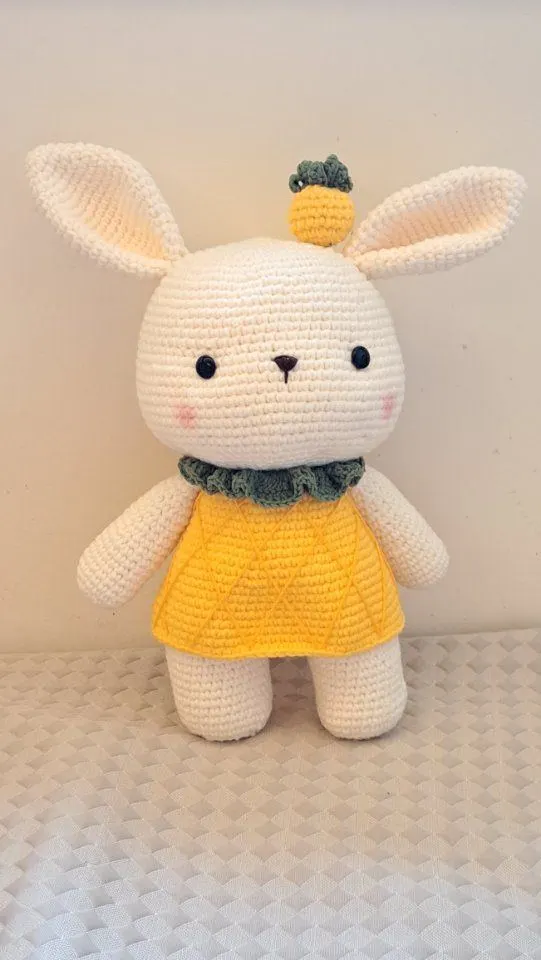 水果兔兔, a crochet project shared by 阿真