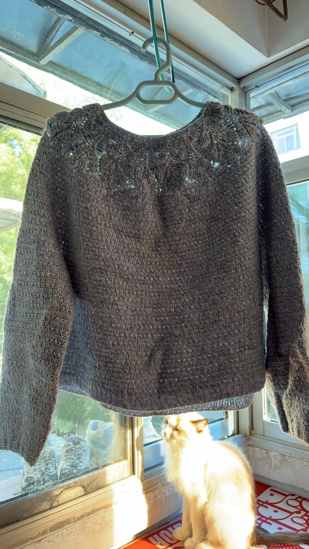 老作业, a crochet project shared by 倾而且