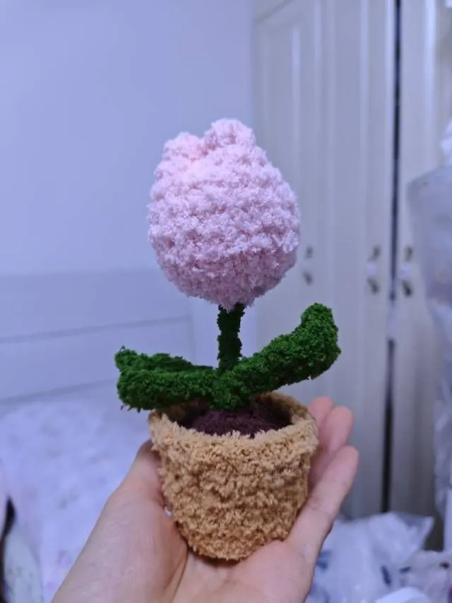 郁金香盆栽🌷, a crochet project shared by 嘿嘿
