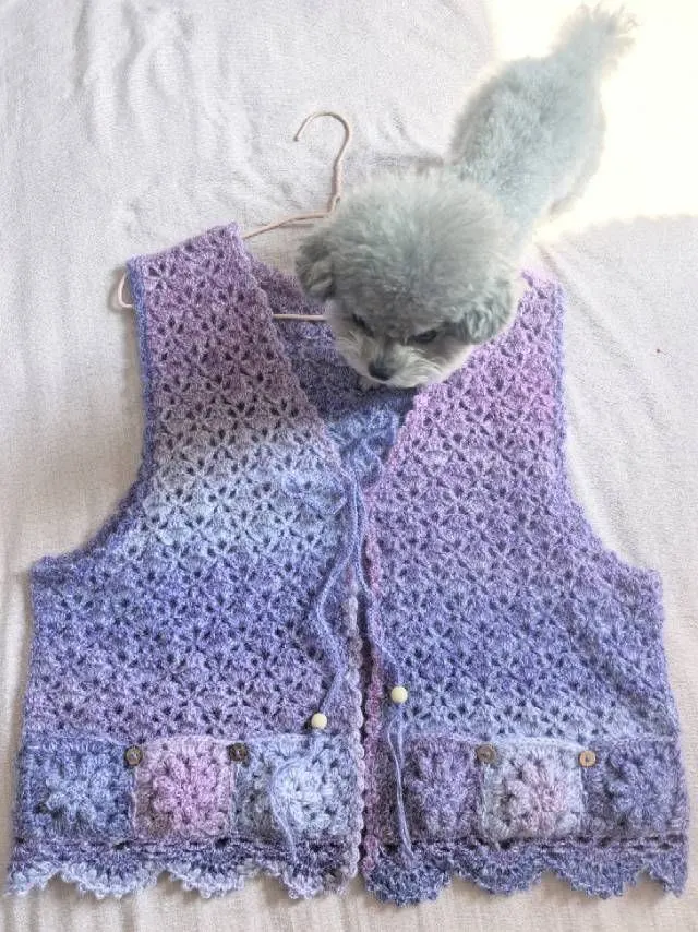 马甲新增成品, a crochet project shared by melonjudy🌟Liu