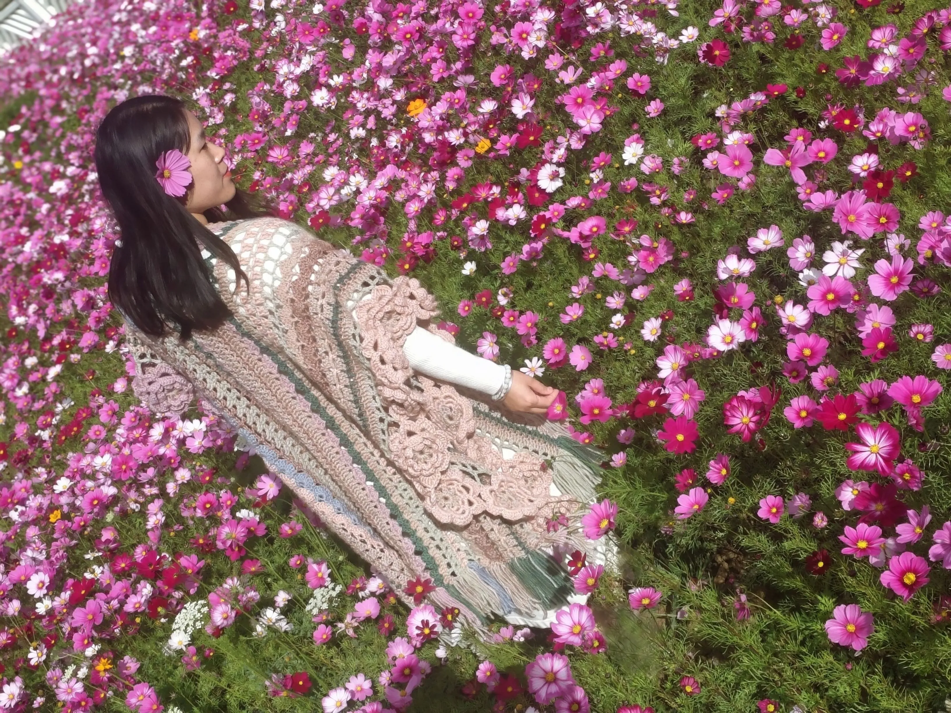 交作业啦, photo 1