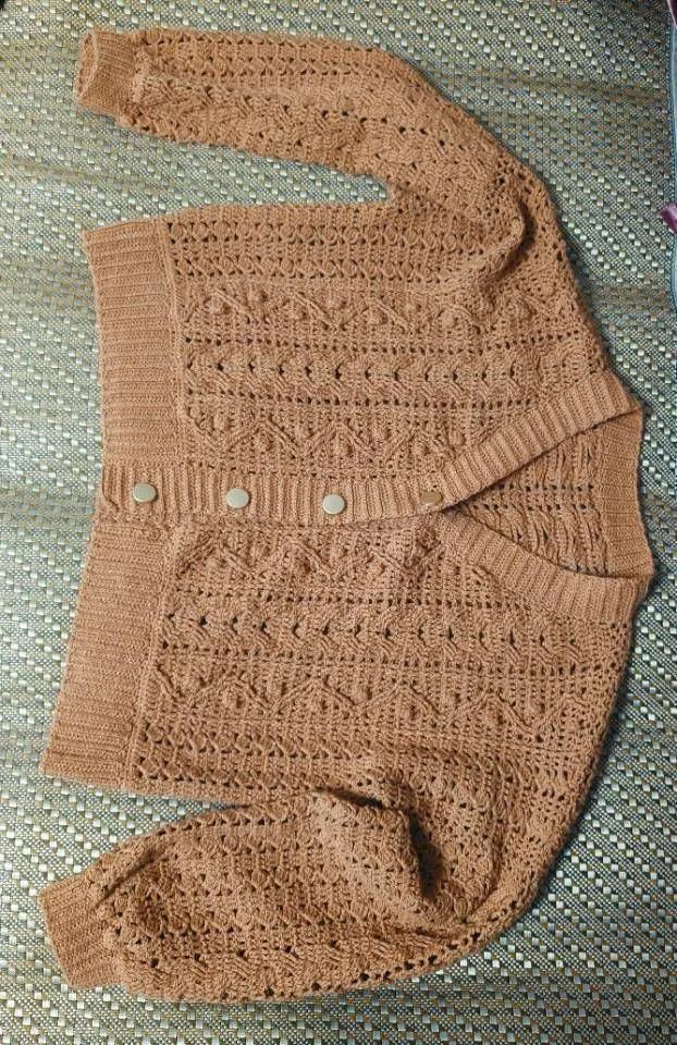 胡桃开衫毛衣外套, a crochet project shared by 晔