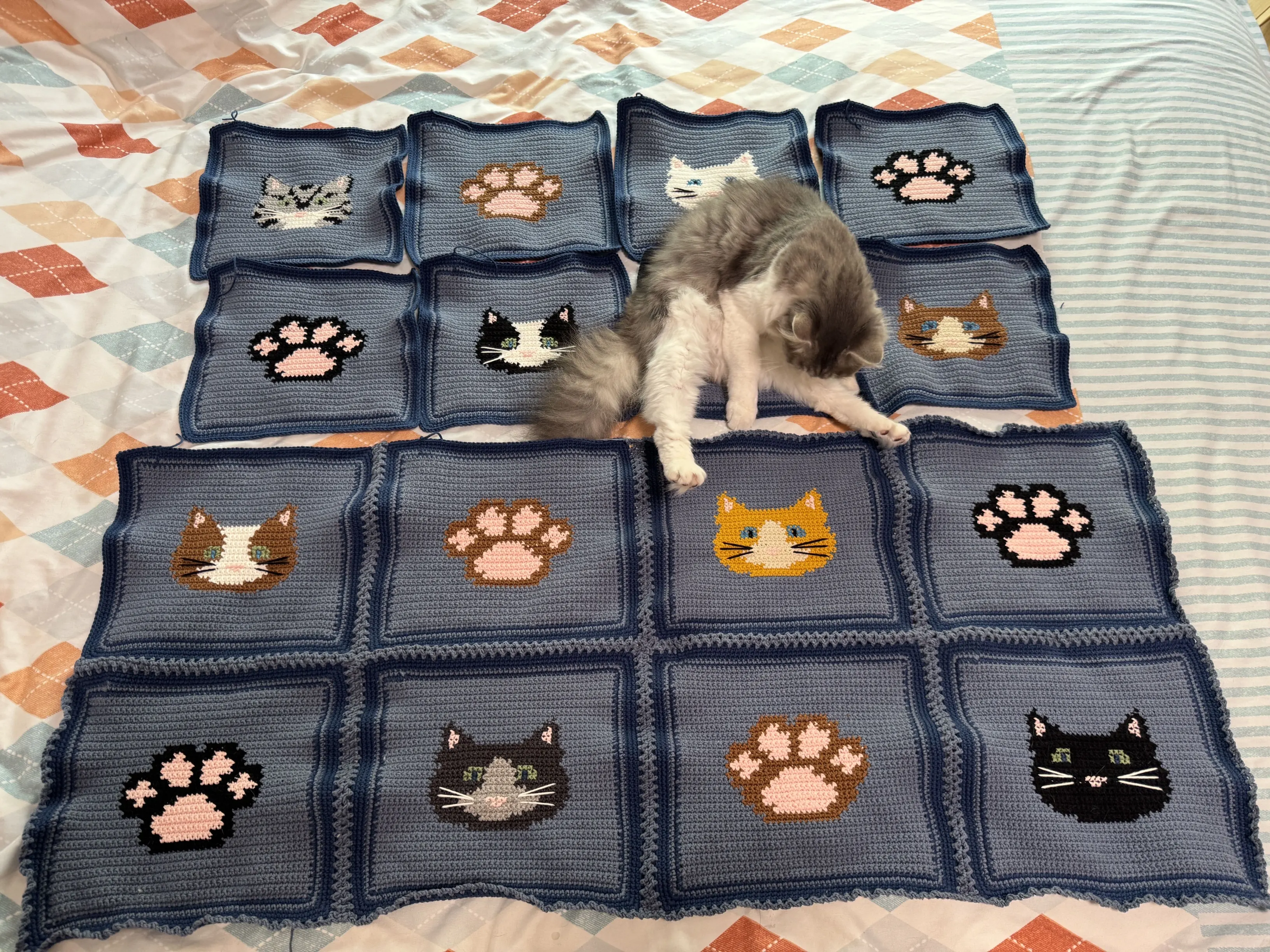 猫猫都很喜欢呢~~, a crochet project shared by 猪猪包