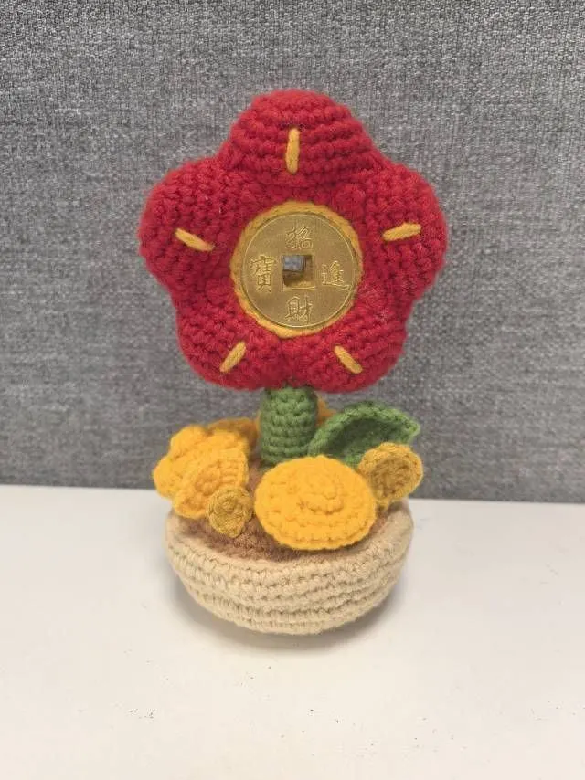 有钱花, a crochet project shared by 11