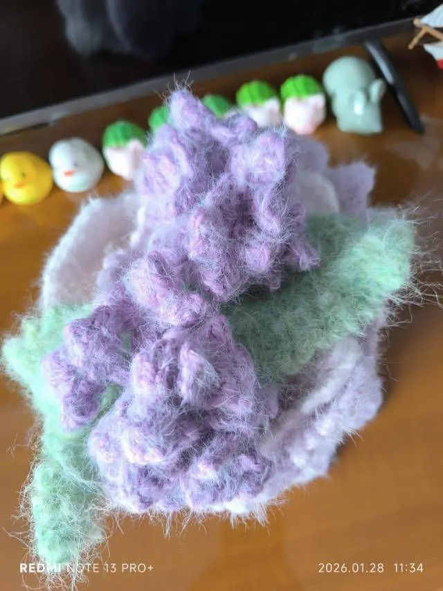 交作业, a crochet project shared by Community maker
