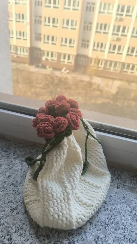 作业, a crochet project shared by 了了